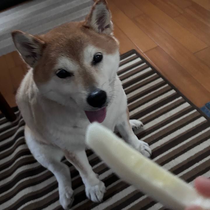 18acddf2 677b 4304 8acf d273aefad8f3 1725093530544