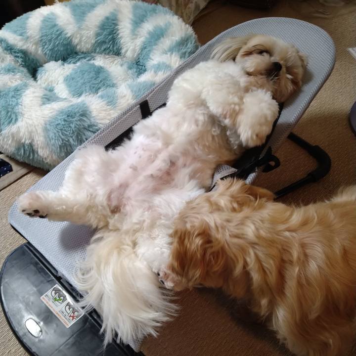 18ace0c6 3882 47b1 a8de cf0ba3f86b9e 1628562817628