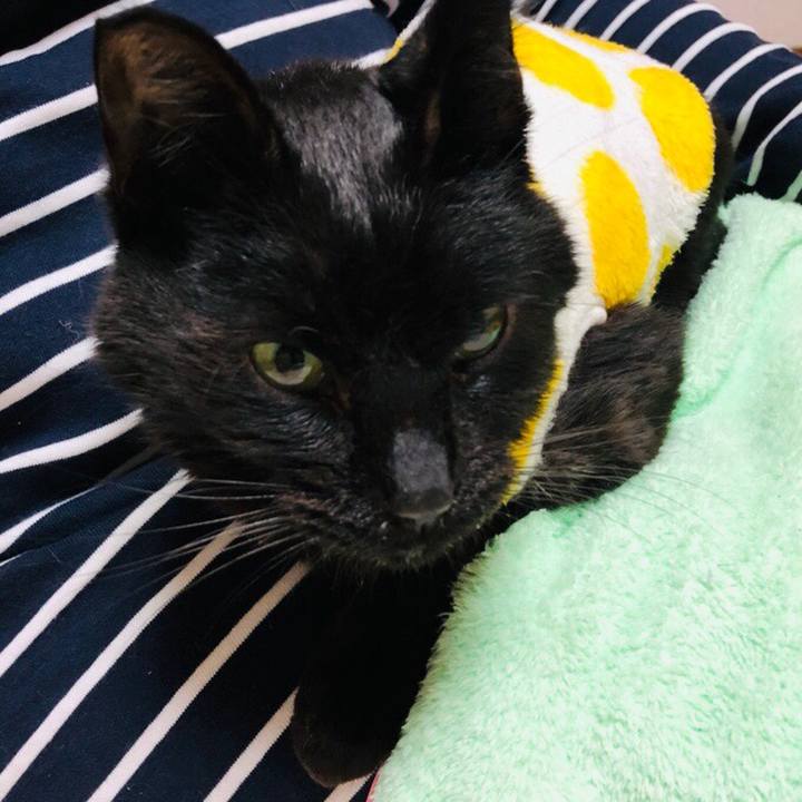 18ad08fb e432 4098 93b8 b744d155aa6f 1558090070215