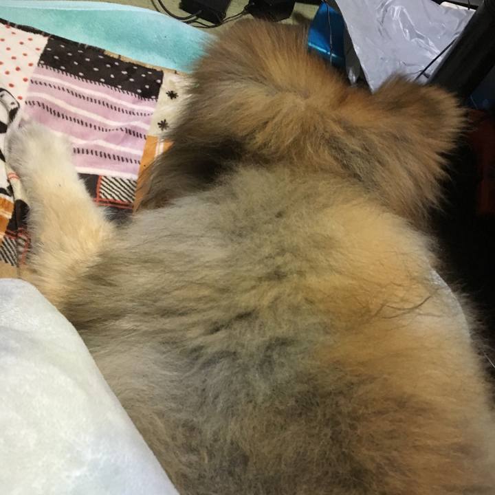 18ad14fa 4bf1 448c 886e b8e1e8d9e9cb 1613094910141