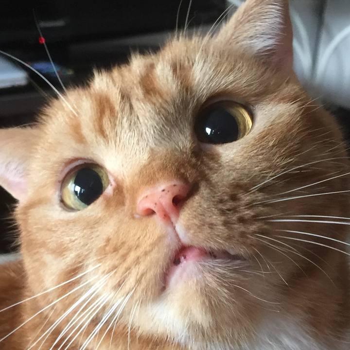 18ad1d58 71ec 437d bbe1 7ef5d4a5f7f5 1575693460354