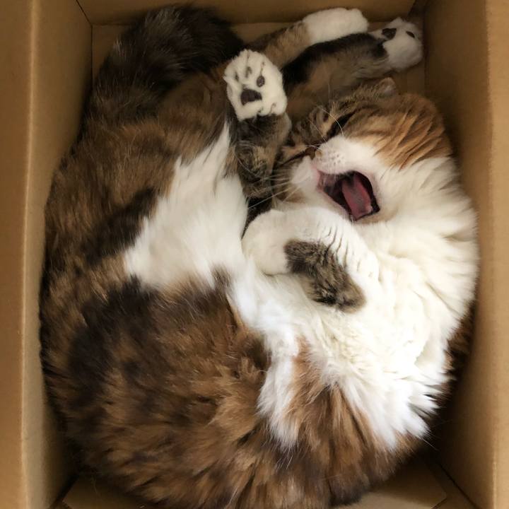 18ad53a7 5be1 415e bc09 e7cdd068fdbb 1536030619038