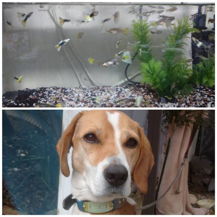 18ad9d98 0c20 4d7b 9f48 9e06d62c42e7 1612173492929