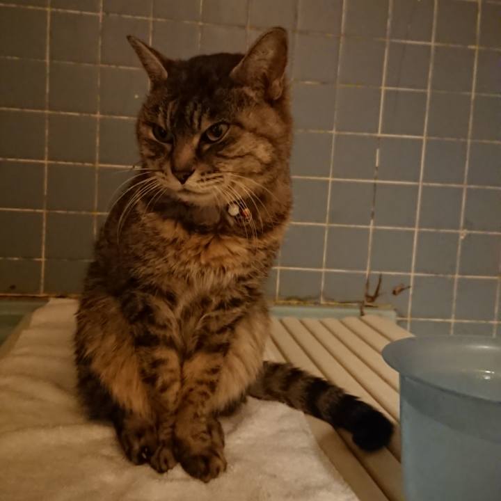 18adb06c 7857 4361 bae8 195d4597fe39 1581240392825