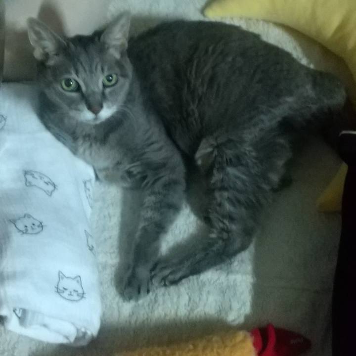 18adc1e7 20d3 4d26 8e61 b096718976b7 1698191079132