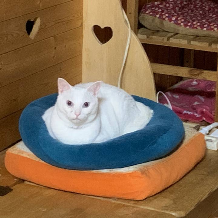 18adcf87 68a2 44e7 a69b d60da7043812 1655128303169