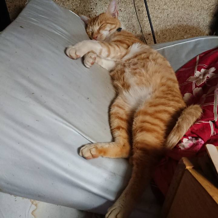 18ae17d4 93f4 4b87 bf4c e6d3c48508bb 1563087404120