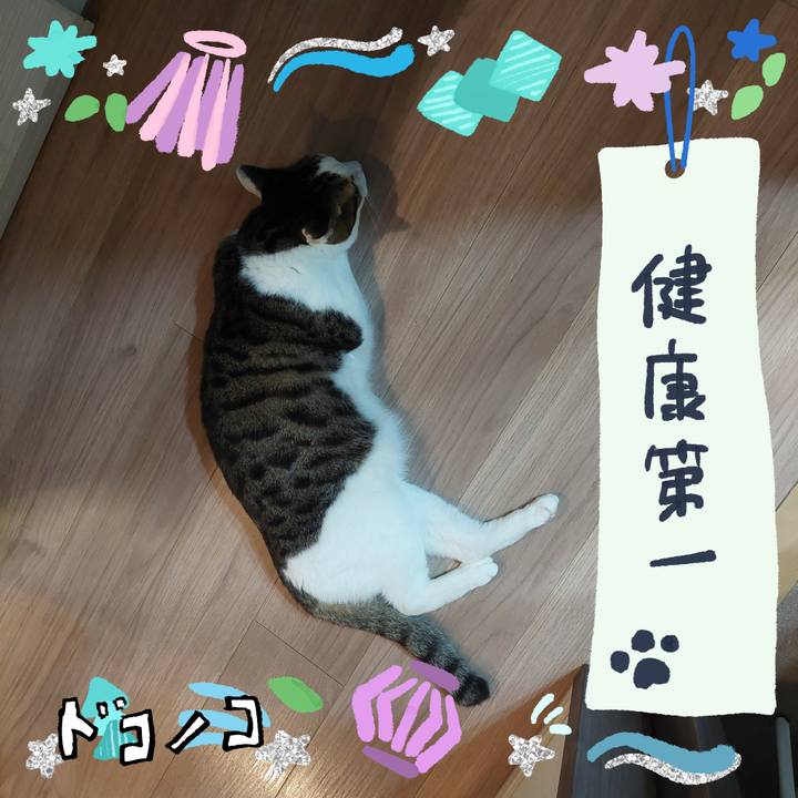 18ae392f c131 4b20 a1ac 4e4170a96e51 1720900481316