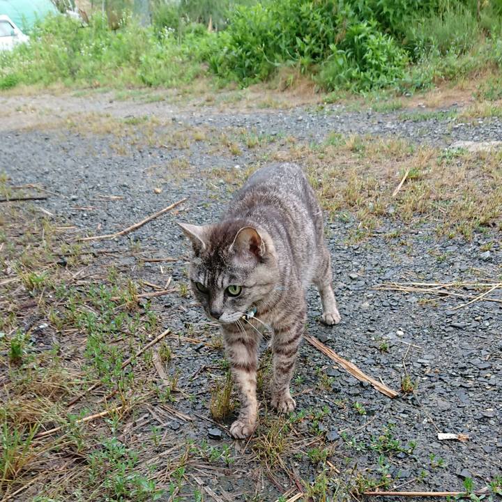 18ae3e3f e10d 4f6b 816d 0fa4500107ab 1561670161760