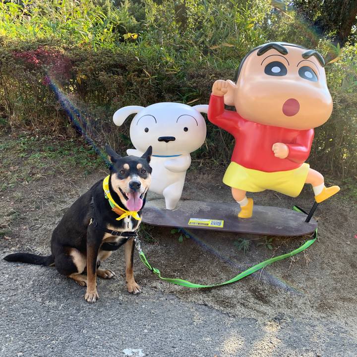 18ae4293 76be 4816 b2ed cb4727c65149 1575796425816