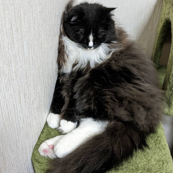 18ae4c77 0b64 447c 8662 268435094cfb 1667311246503