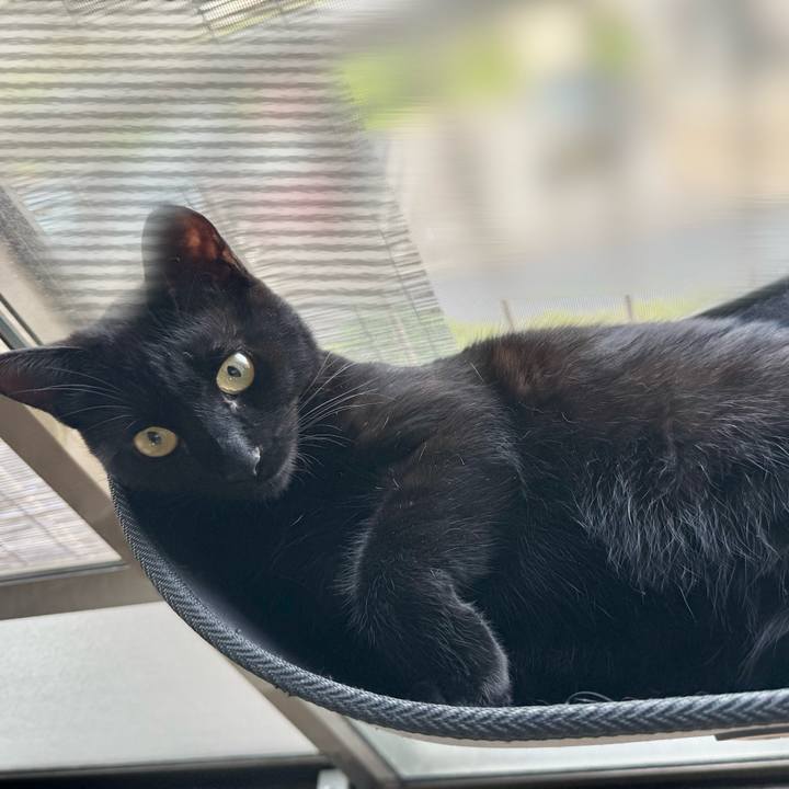 18ae534f e23c 4dfe a9d7 fc1121969879 1745044307972