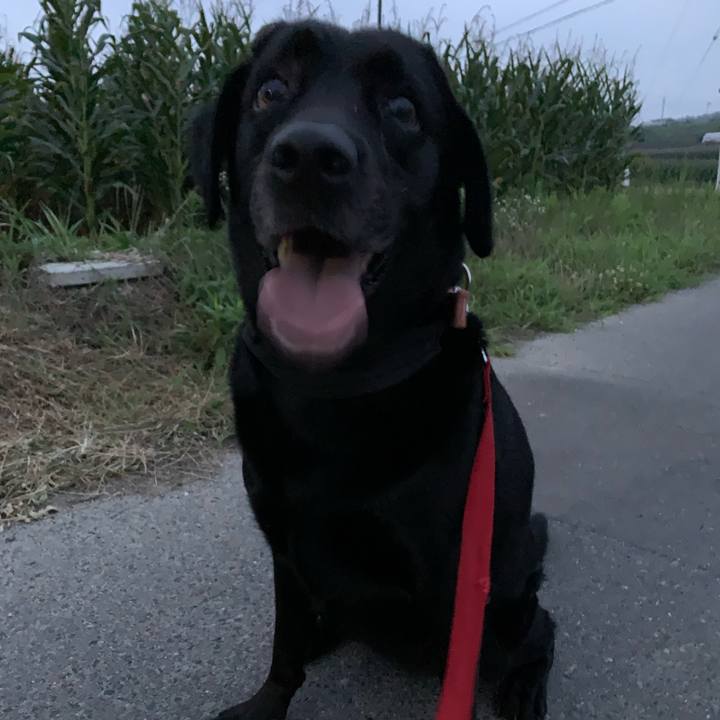 18aeace6 1f04 4b61 a478 e0c3471a8833 1658889767766