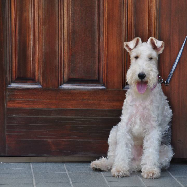 18aed45a 9b5e 4c74 966d ad54172dfa90 1580810987717