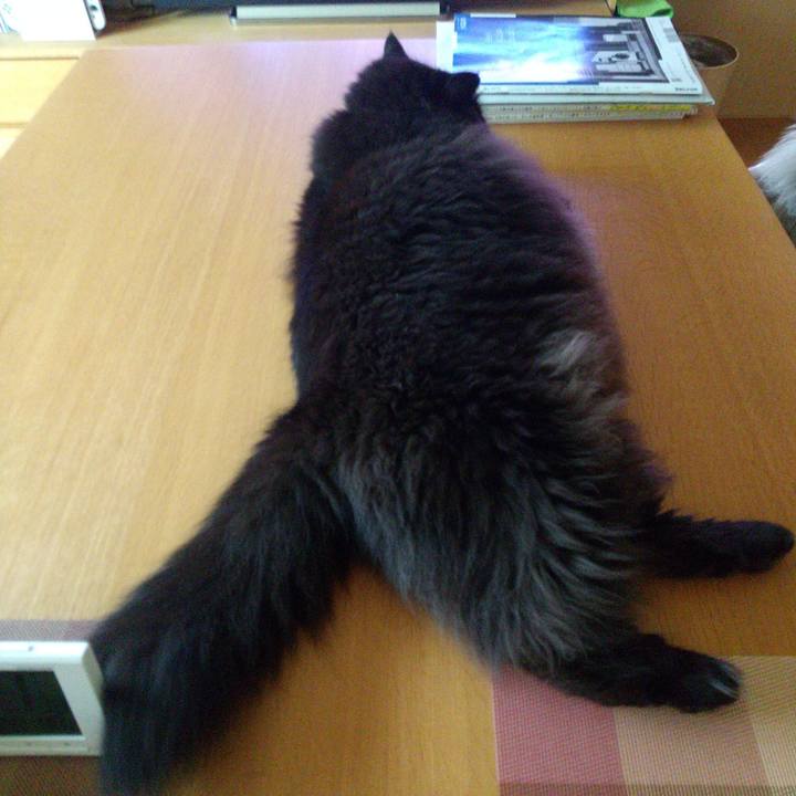 18aee34a f2f7 4f17 a6a2 cdc968b6dd38 1662620165904