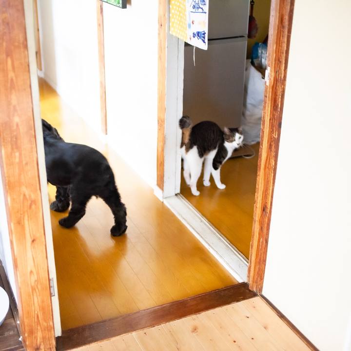 18aee41d 9e4f 43e3 89a6 0a0c2fe53545 1602299938129