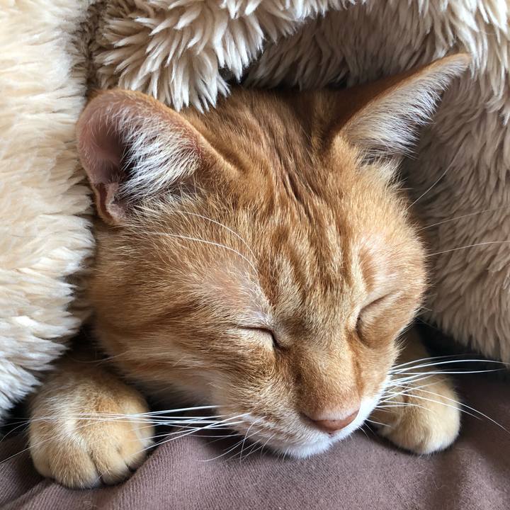 18af1eed f9a2 4525 bbdc 70a14e407188 1604208971446