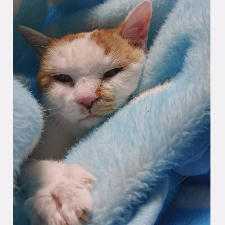 18af3713 3be7 4132 bbca 5a4b41951c63 1670145297670