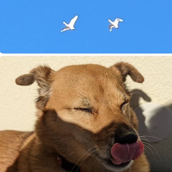 18af401b c2d4 43d9 bc79 4df2478d2bb9 1672063220349