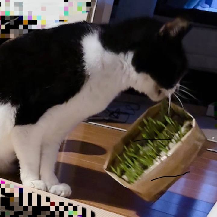 18af403d 6d97 4282 aa41 c4e88f6eee31 1719483231917