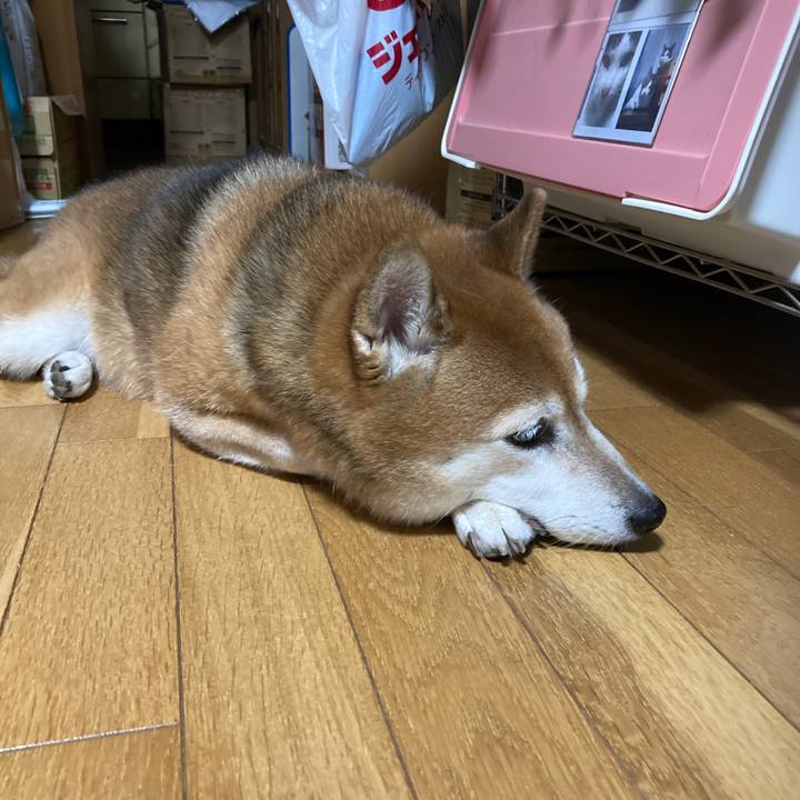 18af46c2 4d3c 4f1d bca4 cec2fbd9d5aa 1692953754477