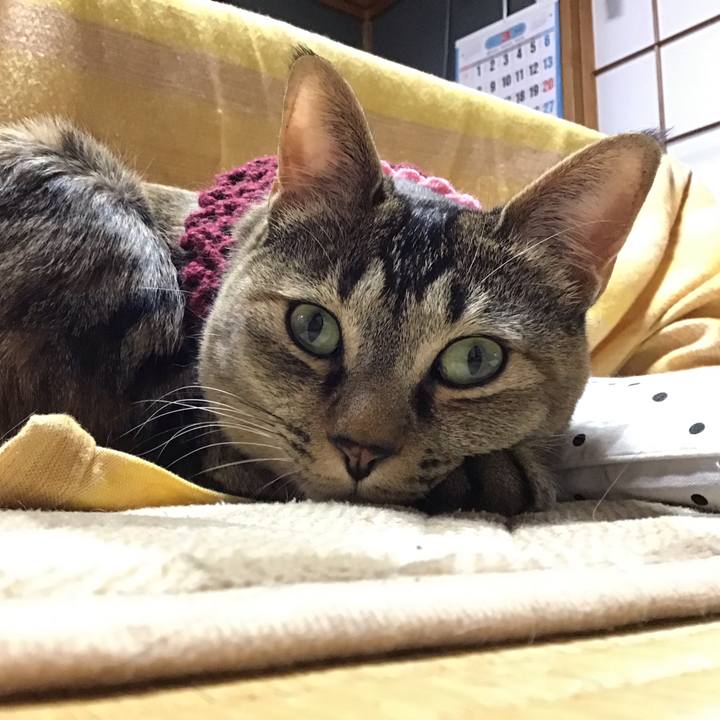 18af7120 79fb 4fc8 b203 63d8f73e99c5 1614664103823