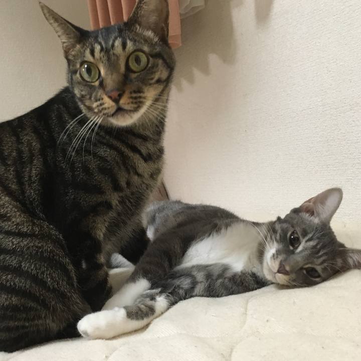 18aff015 8392 4c38 bc10 26ff968bd2f9 1538136777149