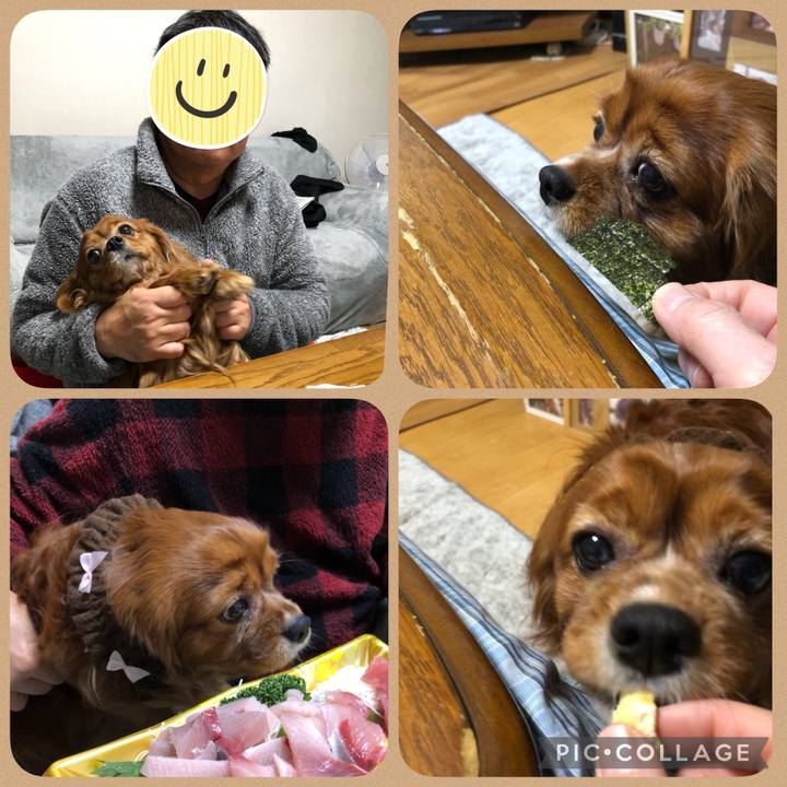 18affde9 1a56 4f5e b376 d8c74ea4e9b2 1645882724027