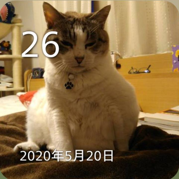 18b012dc b15f 4c7f bb91 d2acdf757ff4 1779784257039