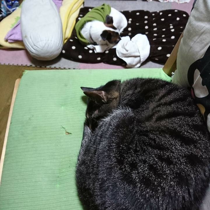 18b01f2a eb21 43f5 b319 089a19c1ba54 1511220286015