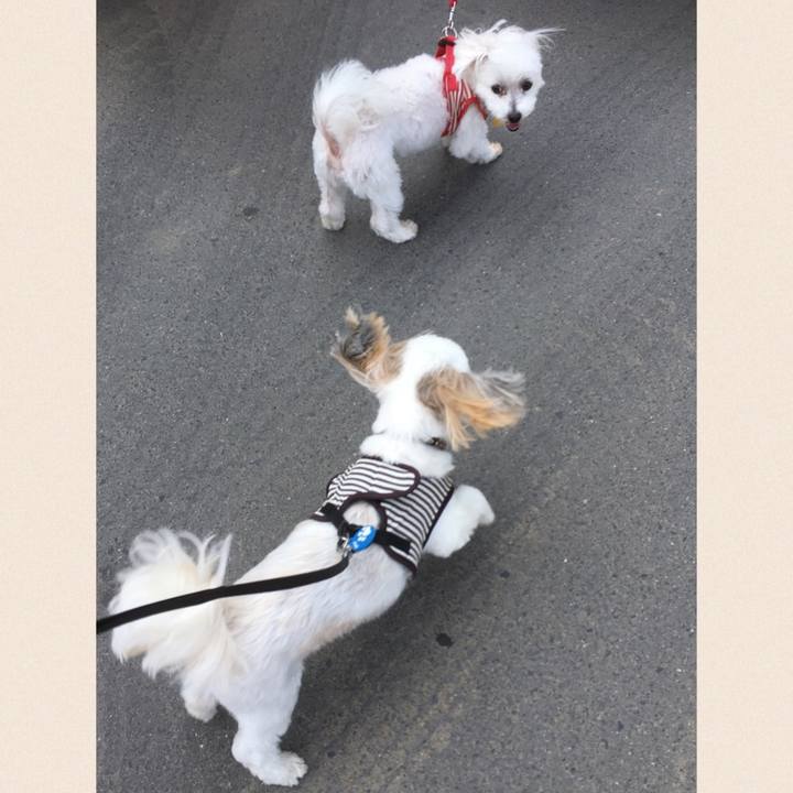 18b02b11 0882 4e52 bb95 f3a1a8d741f1 1591493987627