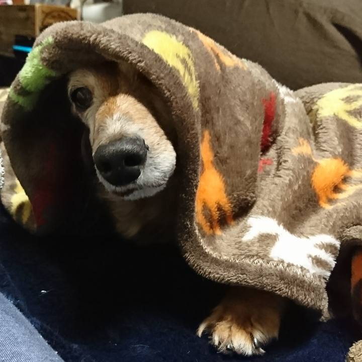 18b043c0 2e1f 42db acc9 7f7152c5863b 1513790295769