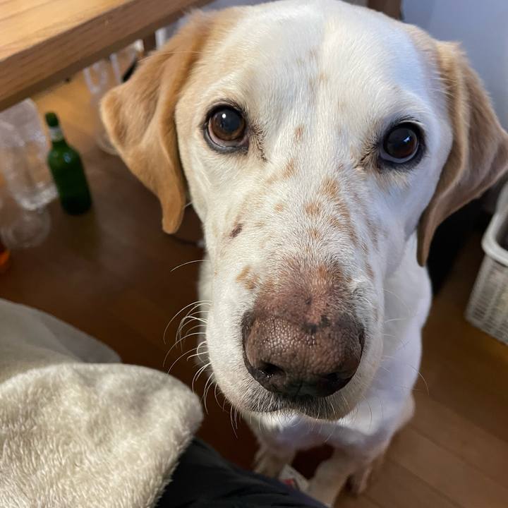 18b044e3 6601 41dc a73a db1cd129c8f7 1769822733343