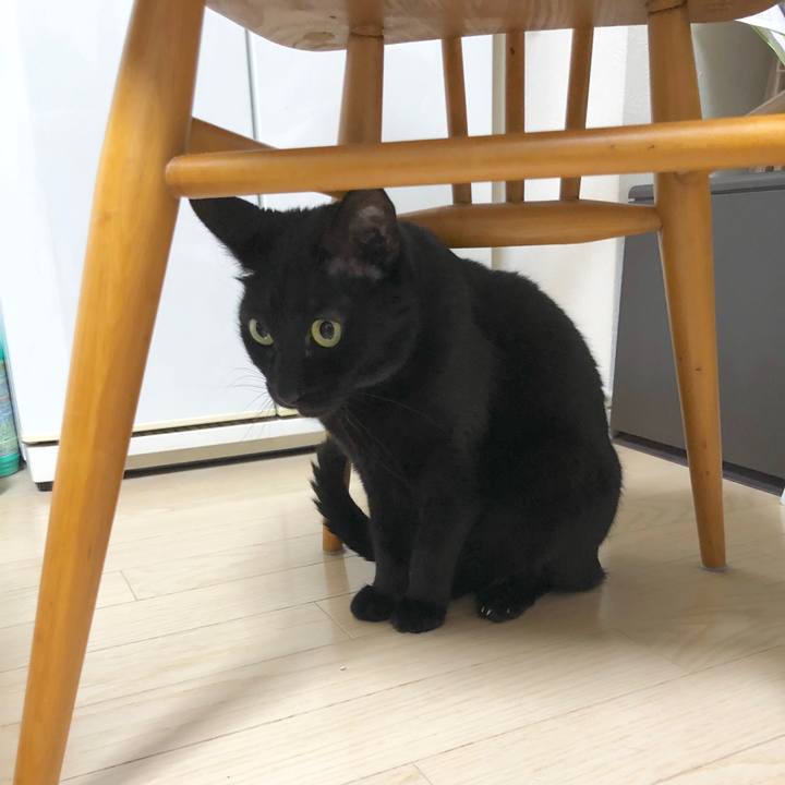 18b06f3d 695c 449e 94b4 d31e39d95773 1586767498326