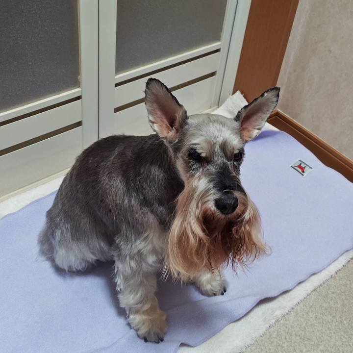 18b07cd7 d221 47e6 81c4 439951a4ad75 1758806900989