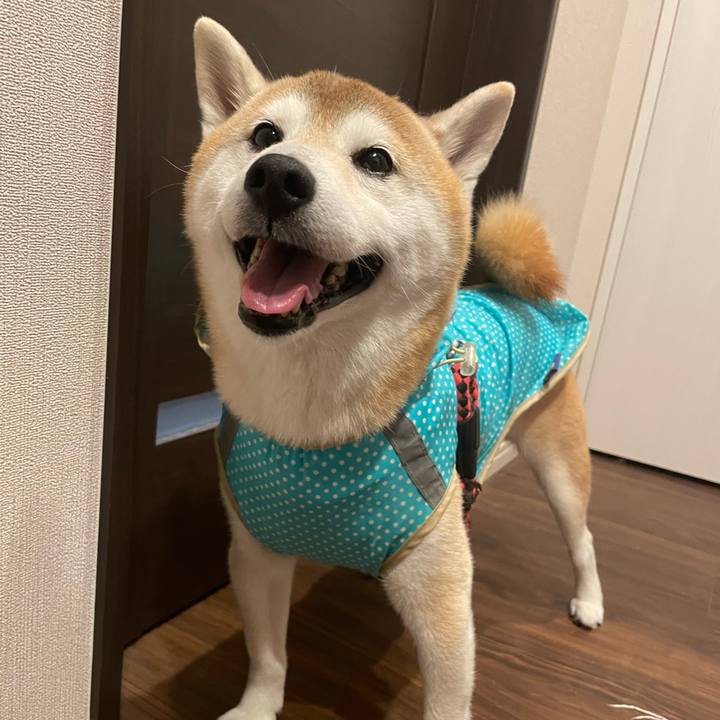 18b0a379 3e0b 475a 9f27 2dc73e5f3d58 1730899306120