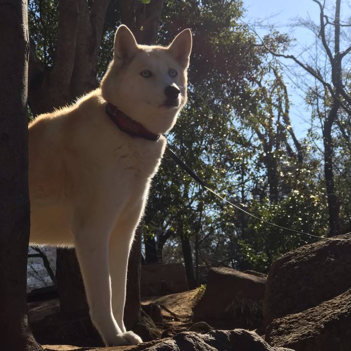 18b0a40c 7932 4c64 843f 67d225ec4b2d 1642900156948