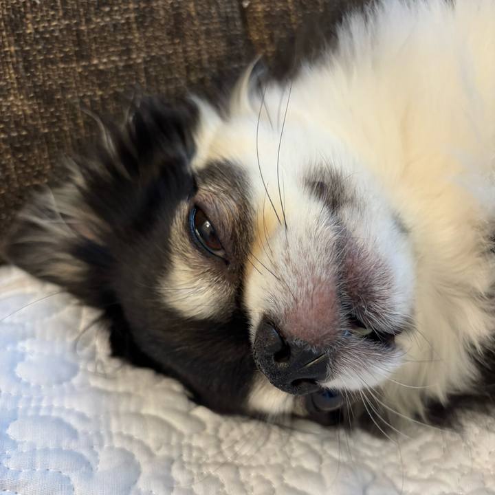 18b0b617 7463 4b8c ad80 c5e27bb985e9 1760892274134