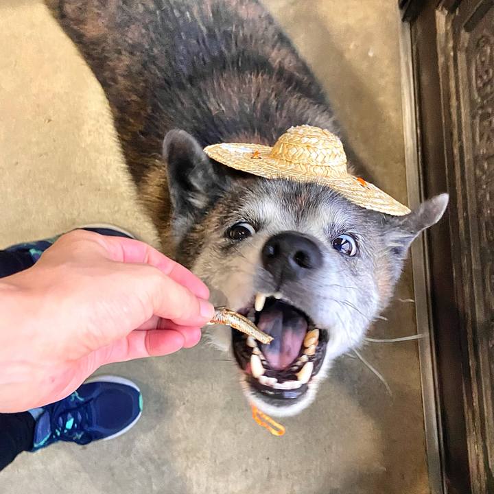 18b0d0b1 8ab9 4e4e bb98 073cb2becec3 1755553288895