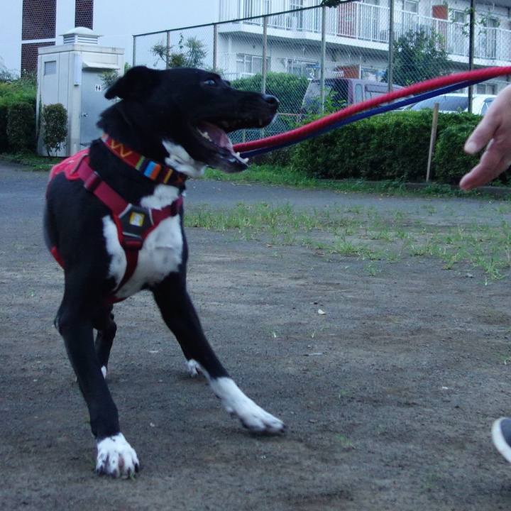 18b0e0b4 04e8 42d7 ab46 9bdef50199da 1596450737050