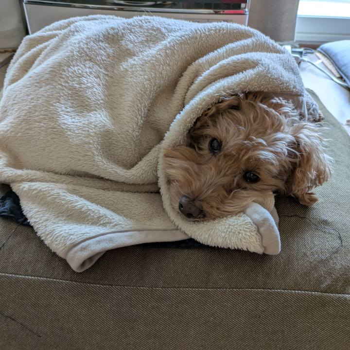 18b10204 a7e1 406a b12f a7e85217fcf4 1745706805893