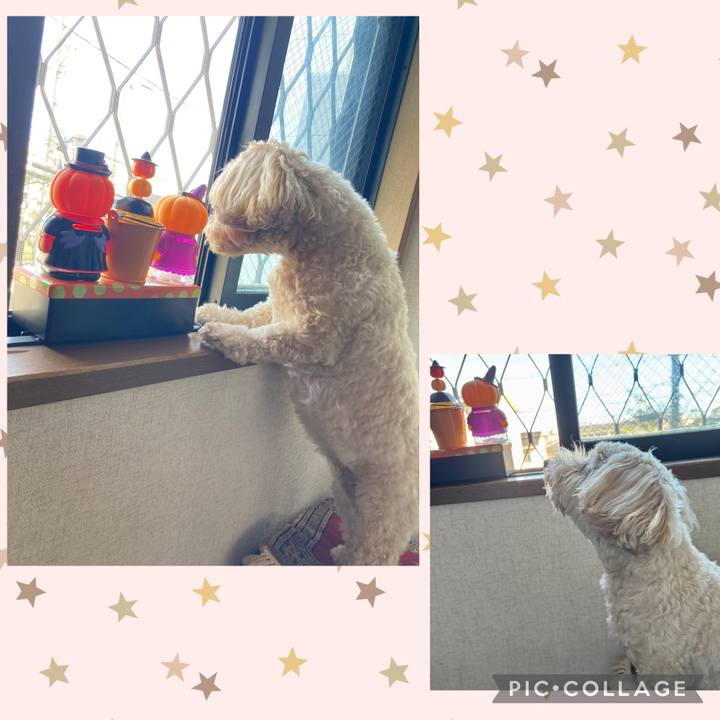 18b12268 d134 4e17 b7a1 440521f4130e 1758943777380