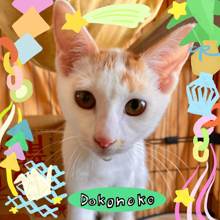 18b15312 8d0f 4b0c b984 53c40f456b19 1755128249509