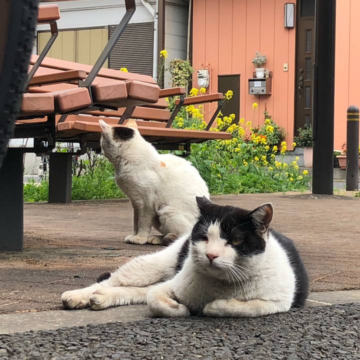 18b19eb1 e201 4bd1 89ab 945241dac992 1620573755249