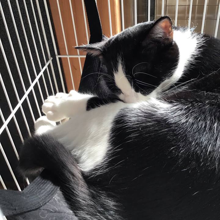 18b1a017 b599 488a bbff c985fa6abcf1 1635233467205