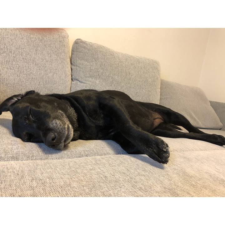 18b1b2df cd81 44b4 96ab 65c833828c4c 1532916654169