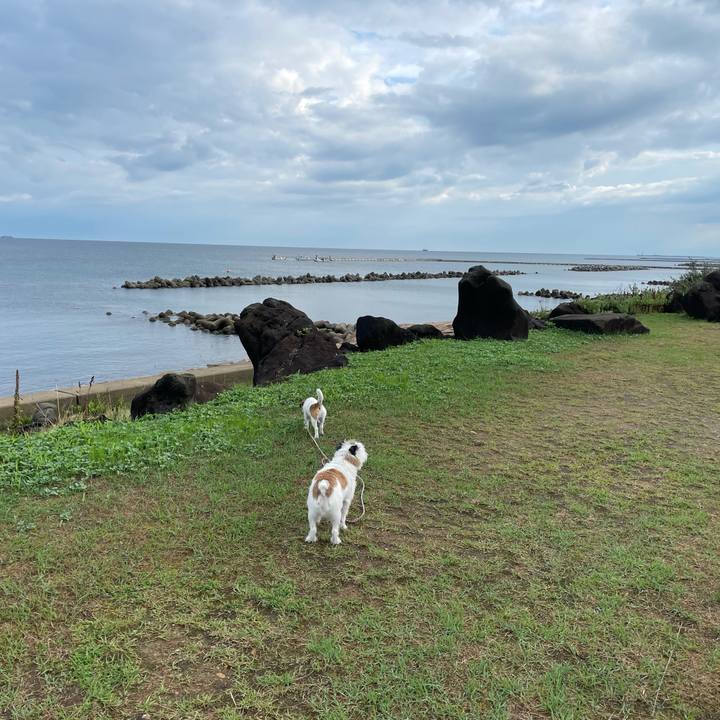 18b1b7b4 6715 45dc 88d3 264edd519358 1629846637392