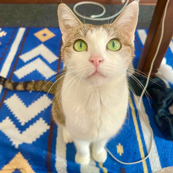 18b1be00 2e23 4891 bd23 28656f77978c 1637114402934