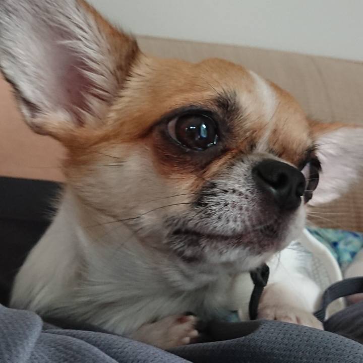 18b1eacb 394f 41d9 82b8 33cc9c6d6d2c 1565394392524