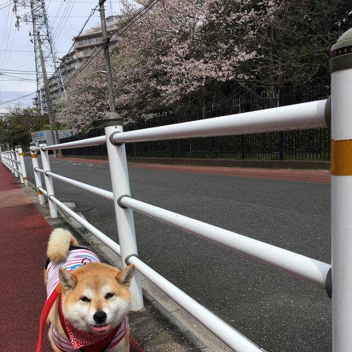 18b22be1 2425 4a8d 8090 e18382ec89b3 1585287118920